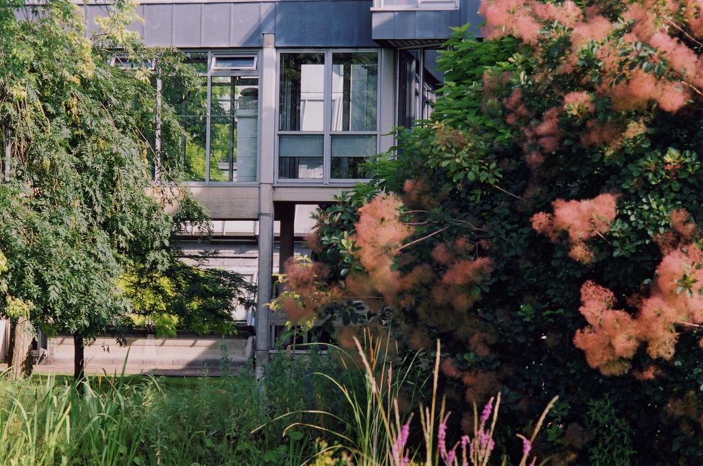 Egrove Park, University Of Oxford Exterior foto